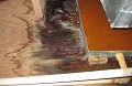 Mold Removal Allentown Solutions